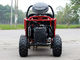 Single Cylinder CVT Transmission Go Kart Buggy 2 Seat 125cc Go Kart