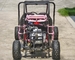 Foot Brake Operation Go Kart Buggy 4 Stroke CTV Electric Start Automatic With Reverse