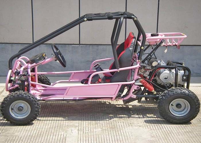 110cc Kids Off Road Go Kart Rak Belakang Dua Kursi Dengan Transmisi CVT / Balik