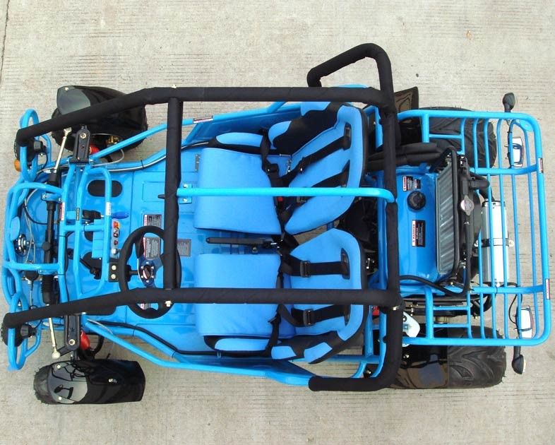 250cc Go Kart Buggy Double A Arm / Single A - Arm Dengan CVT Reverse / Road Tire