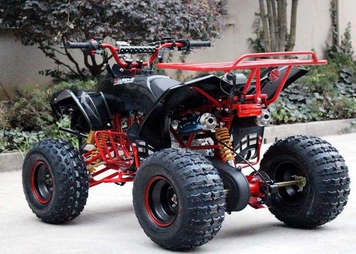 Single Cylinder 125cc Atv Quad Bike Four Wheelers 4 X 4 Dengan Rak Belakang / Lampu Depan Cerah