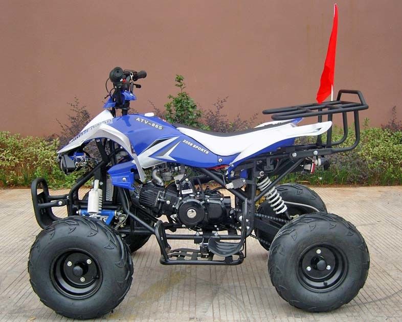 Rem Cakram Depan / Belakang Empat Roda Untuk Dewasa, 110cc Mulai Listrik Empat Roda