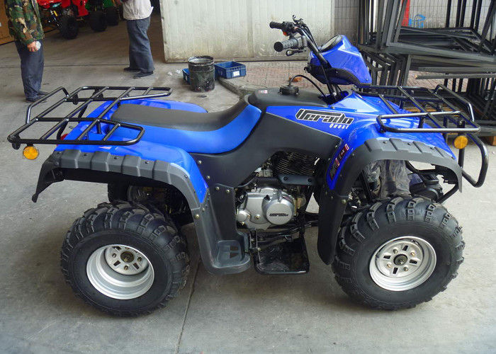 Four-Stroke 250cc Atv Quad Bike Water Keren Sepeda Motor 4 Roda Untuk Dewasa