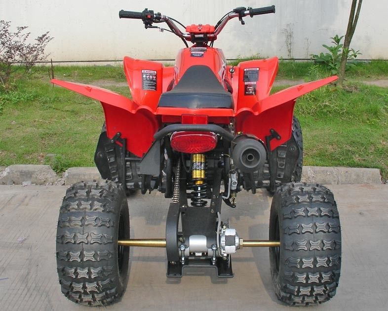 250CC Kendaraan Utilitas merah ATV 8 