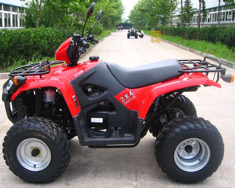 Oil Cooled Youth Racing Atv 260cc Dengan Ukuran Besar Reverse Gear / Inside Gear Box
