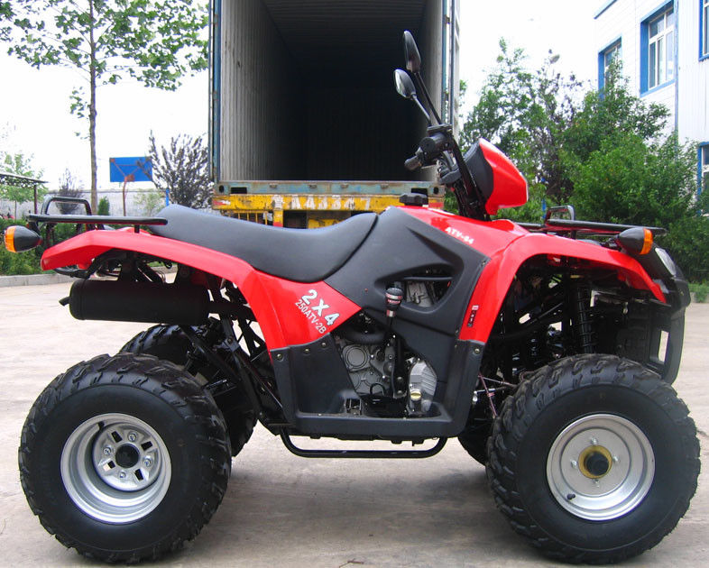 Oil Cooled Youth Racing Atv 260cc Dengan Ukuran Besar Reverse Gear / Inside Gear Box
