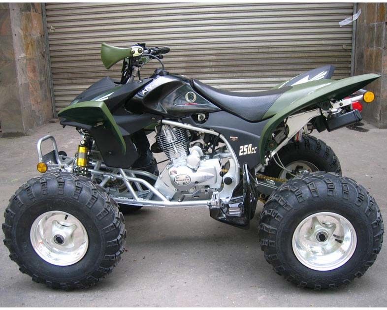 Ekstra Besar Pemuda Balap Atv 250cc Atv Quad Bike CDI Mulai Manual Listrik