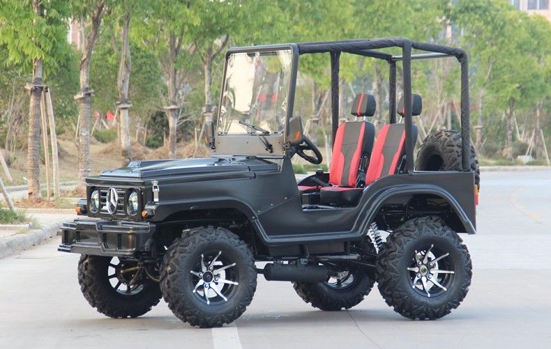 Mini Jeep 4WD Racing ATV Olahraga Go Kart Buggy Untuk Dewasa, 300cc Go Kart