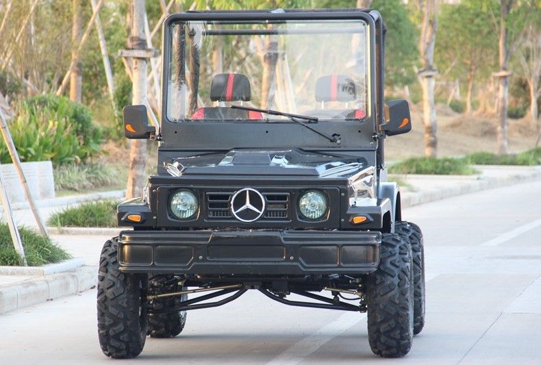 Mini Jeep 4WD Racing ATV Olahraga Go Kart Buggy Untuk Dewasa, 300cc Go Kart