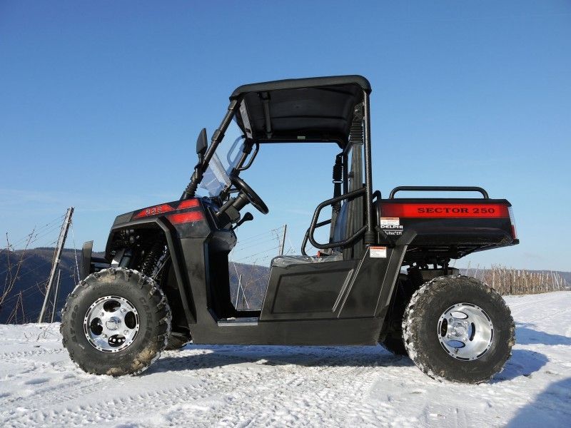 UTV 250 Tiltable Loader Winch Kendaraan Utilitas Gas Dengan Efi - Red, Windsheild Dan Towbar