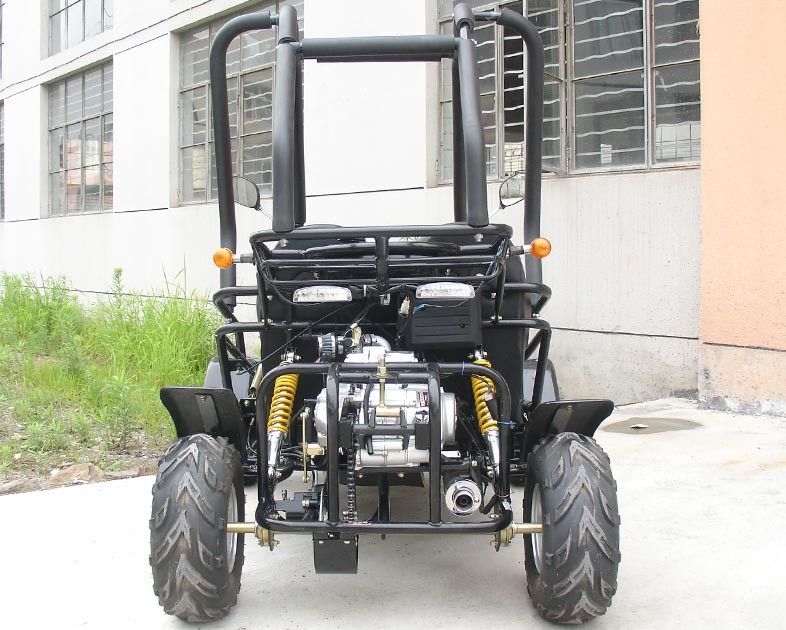 Kecil 3 Kecepatan 110cc Go Kart Buggy Two Seater Atv Dengan CDI Electirc Start