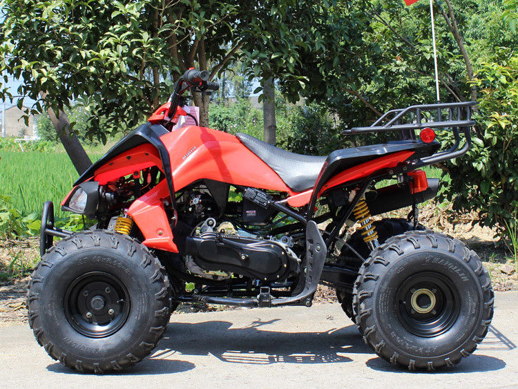 ATV Empat Roda 200cc, ATV Berpendingin Udara 8 