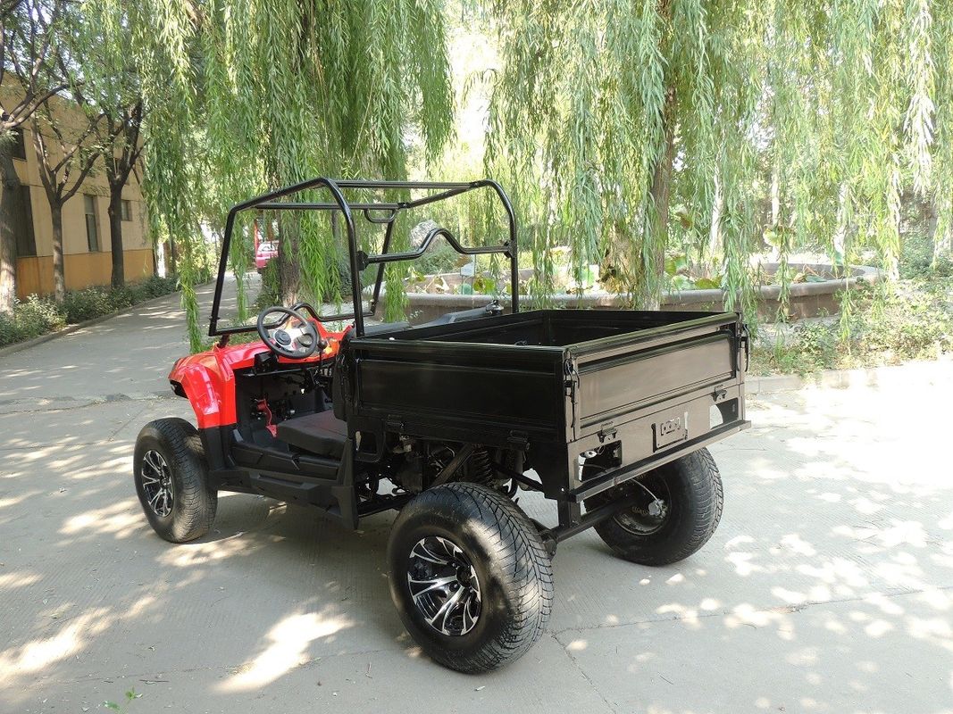 Kendaraan Utilitas Gas Cylinder Tunggal 2X4 Driveline Tipe 250cc 4 Stroke