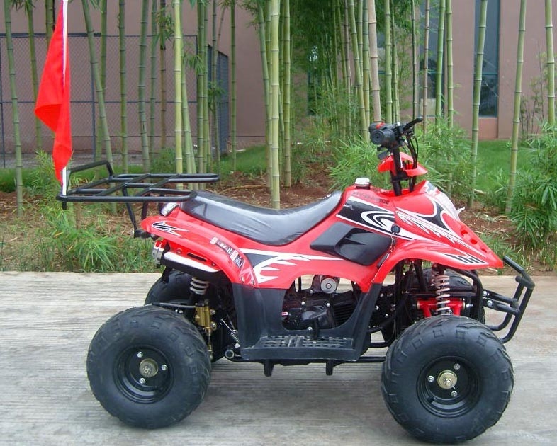 Depan Lengan Ayun Ganda 70cc ATV Quad Bike 80KG Pemuatan Maks. Kinerja Tinggi