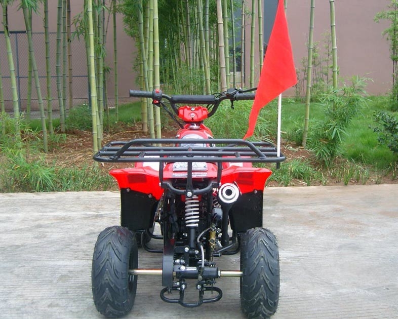 Depan Lengan Ayun Ganda 70cc ATV Quad Bike 80KG Pemuatan Maks. Kinerja Tinggi