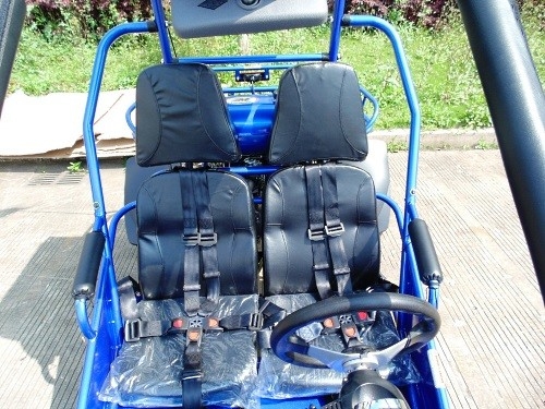 2.25 Gal 17.4 HP CDI Pengapian 300cc CVT EFI Go Kart Buggy