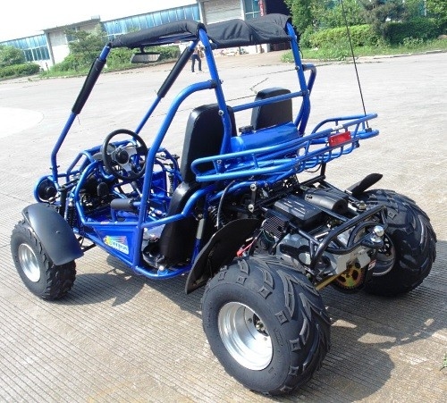 2.25 Gal 17.4 HP CDI Pengapian 300cc CVT EFI Go Kart Buggy