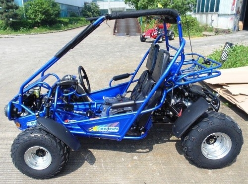2.25 Gal 17.4 HP CDI Pengapian 300cc CVT EFI Go Kart Buggy