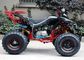 Single Cylinder 125cc Atv Quad Bike Four Wheelers 4 X 4 With Rear Rack / Bright Headlights