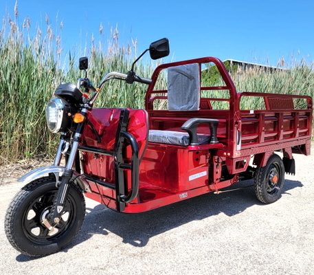 Truk Kargo Bertenaga Listrik 1000 Watt Motorized Moped 3 Wheel Bike Scooter